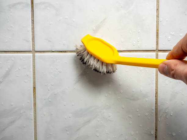 Mold Removal and Inspection in South Henderson, NC