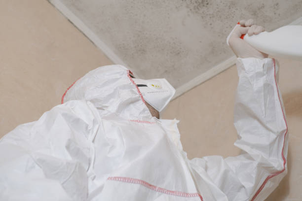 Mold Testing and Removal in South Henderson, NC